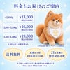 ポメラニアンのウェイトドール 料金とお届けのご案内