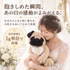 パグのウェイトドール 出生体重を1g単位で再現