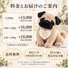 パグのウェイトドール 料金とお届けのご案内