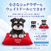 小さなシュナウザーもウェイトドールにできます