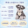 シュナウザーのウェイトドール 料金とお届けのご案内