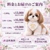シーズーのウェイトドール 料金とお届けのご案内