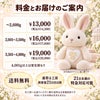 うさぎのウェイトドール 料金とお届けのご案内