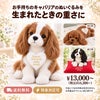 キャバリアのウェイトドール