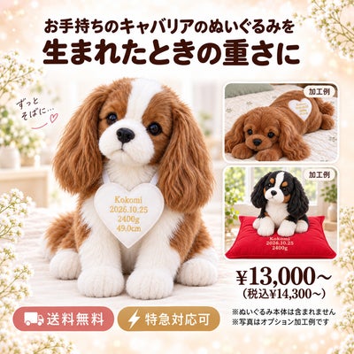 キャバリアのウェイトドール