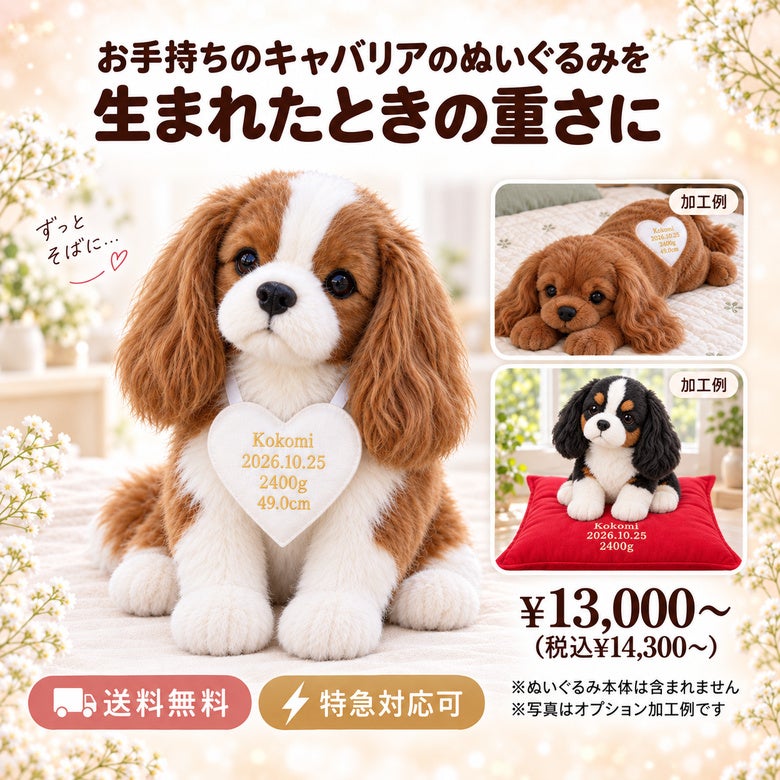 キャバリアのウェイトドール