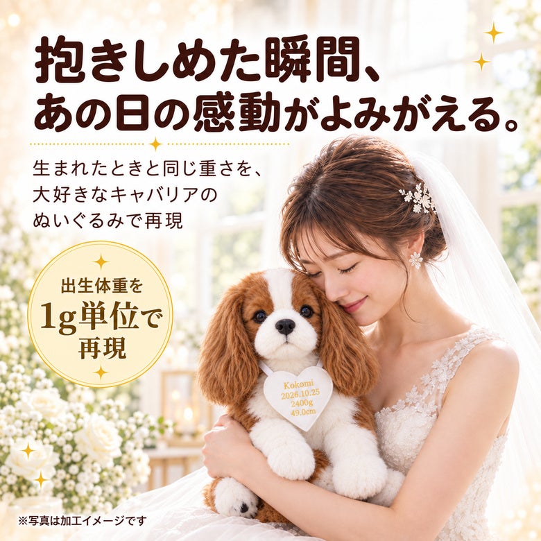 キャバリアのウェイトドール 出生体重を1g単位で再現