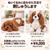 キャバリアのウェイトドール ぬいぐるみに合わせた方法で刺しゅうします