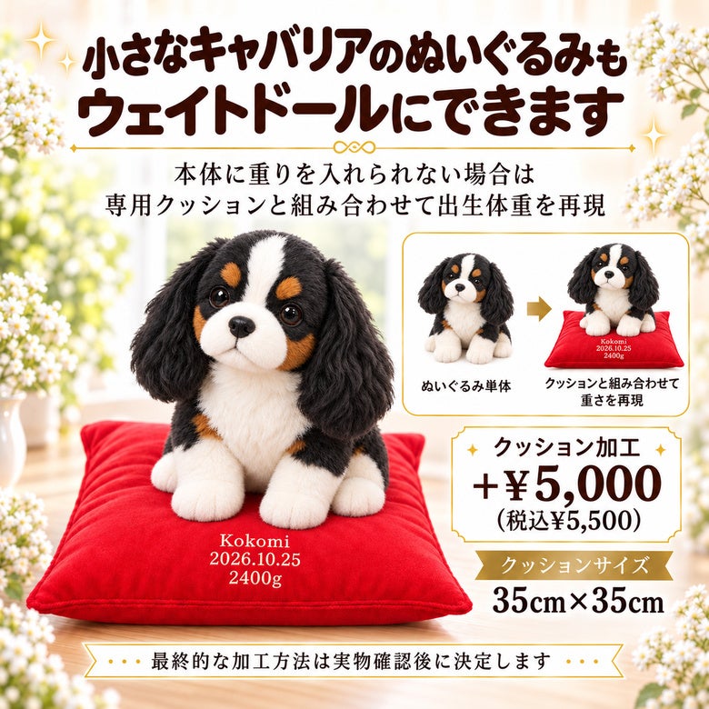 小さなキャバリアもウェイトドールにできます