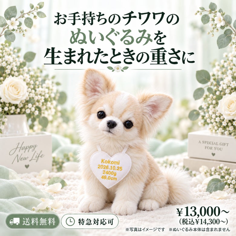 チワワのウェイトドール