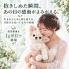 チワワのウェイトドール 出生体重を1g単位で再現