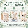 あなたのチワワがウェイトドールに変身