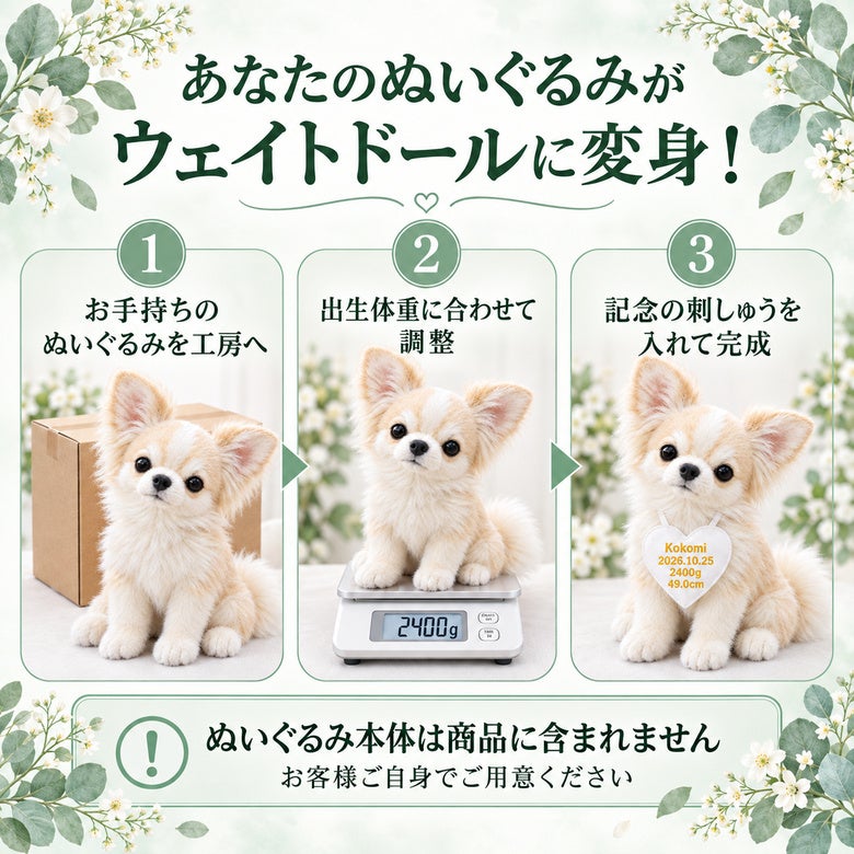 あなたのチワワがウェイトドールに変身