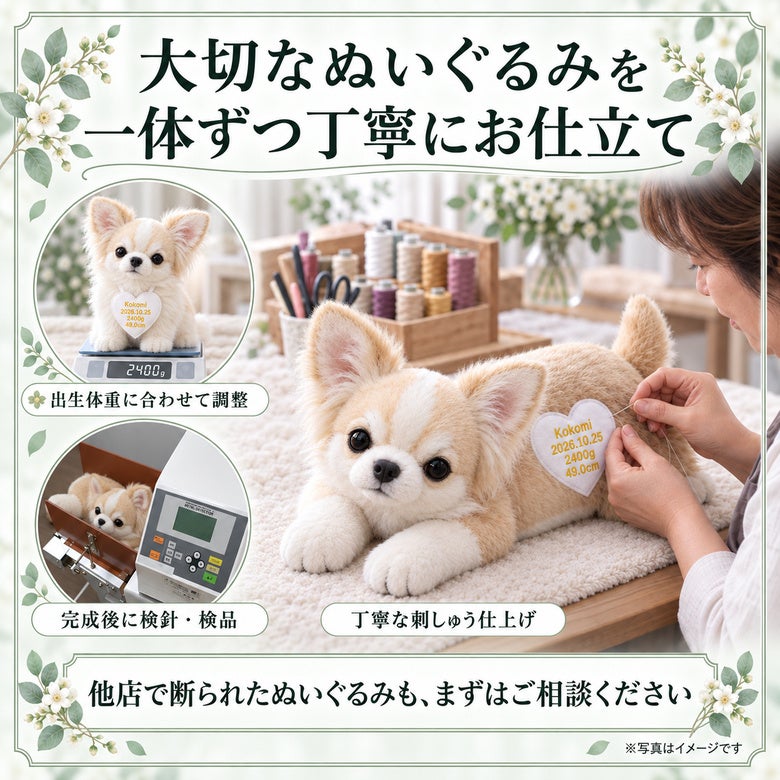 チワワのウェイトドール 大切なぬいぐるみを一体ずつ丁寧にお仕立て