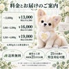 チワワのウェイトドール 料金とお届けのご案内