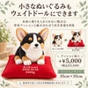小さなコーギーもウェイトドールにできます