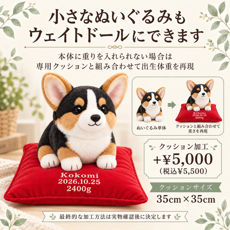 小さなコーギーもウェイトドールにできます