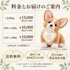 コーギーのウェイトドール 料金とお届けのご案内