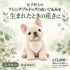 フレンチブルドッグのウェイトドール