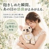 フレンチブルドッグのウェイトドール 出生体重を1g単位で再現
