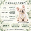フレンチブルドッグのウェイトドール 料金とお届けのご案内