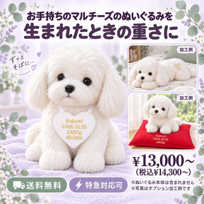 マルチーズのウェイトドール