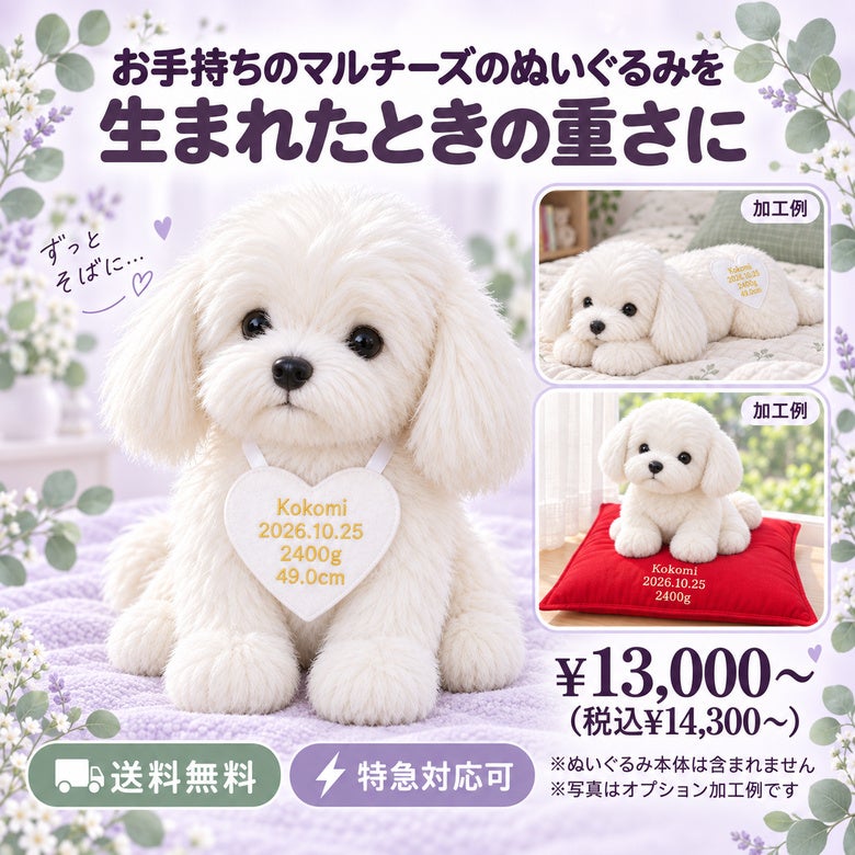マルチーズのウェイトドール