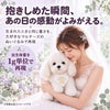 マルチーズのウェイトドール 出生体重を1g単位で再現