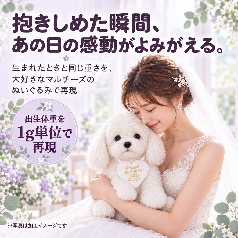 マルチーズのウェイトドール 出生体重を1g単位で再現
