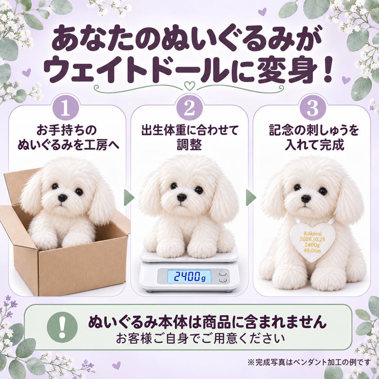あなたのマルチーズがウェイトドールに変身