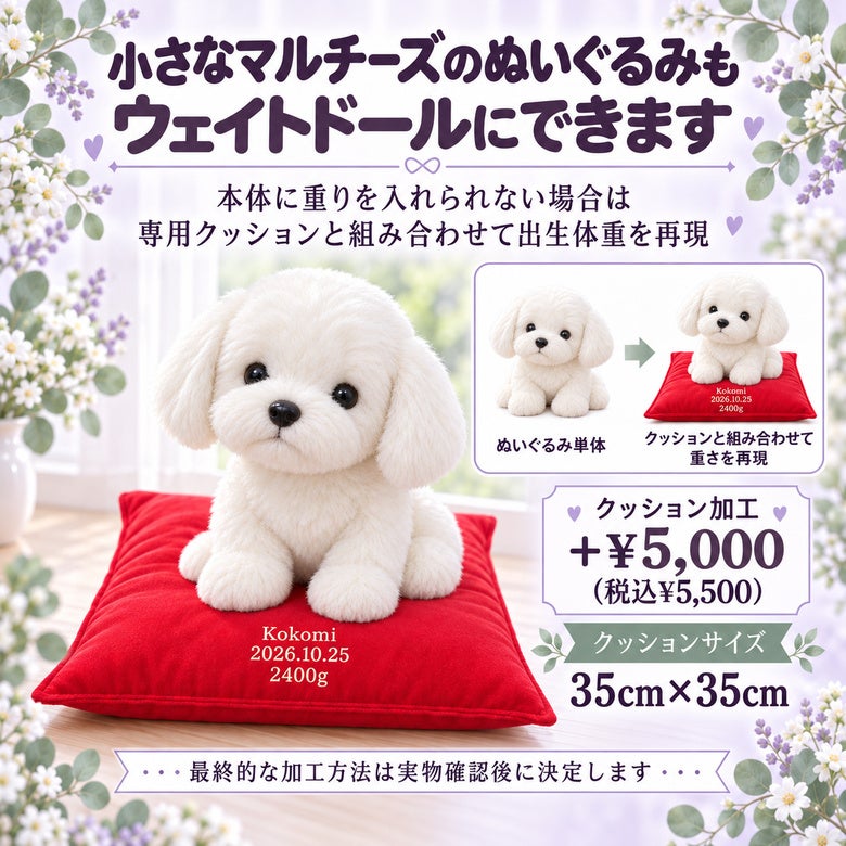 小さなマルチーズもウェイトドールにできます