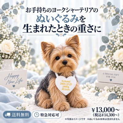 ヨークシャーテリアのウェイトドール