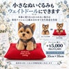 小さなヨークシャーテリアもウェイトドールにできます