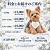 ヨークシャーテリアのウェイトドール 料金とお届けのご案内