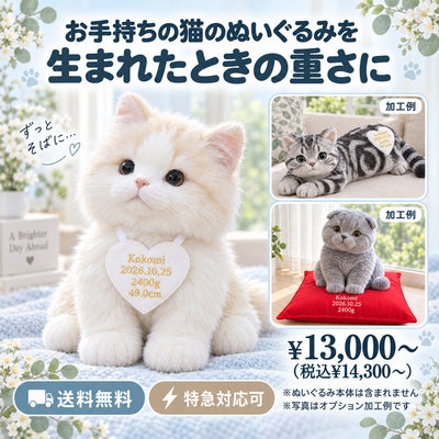 猫のウェイトドール