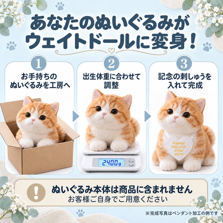 あなたの猫がウェイトドールに変身