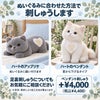 猫のウェイトドール ぬいぐるみに合わせた方法で刺しゅうします