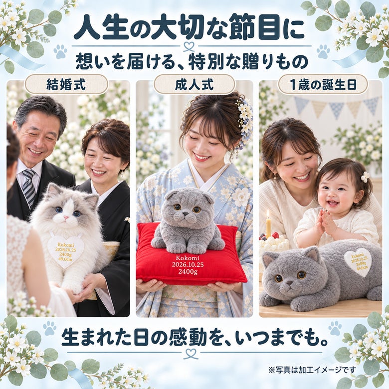 猫のウェイトドールを人生の大切な節目に