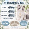 猫のウェイトドール 料金とお届けのご案内