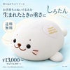 しろたんのウェイトドール お手持ちのぬいぐるみを生まれたときの重さに