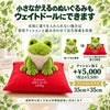 小さなかえるもウェイトドールにできます