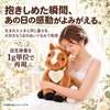 うまのウェイトドール 出生体重を1g単位で再現
