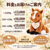 うまのウェイトドール 料金とお届けのご案内