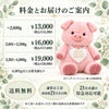 ぶたのウェイトドール 料金とお届けのご案内