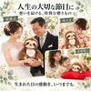 なまけもののウェイトドールを人生の大切な節目に